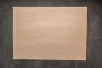 Türschild "Familie" personalisiert