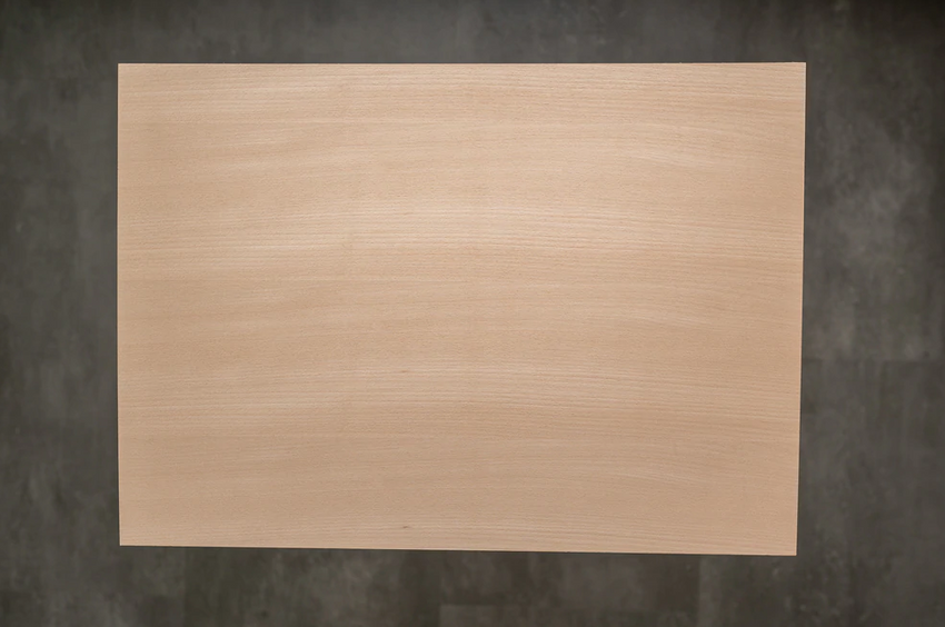 Türschild "Familie" personalisiert