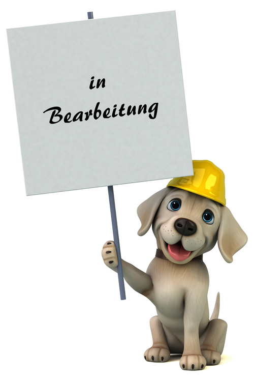 Kindergarten / Schule